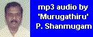 P. Shanmugam