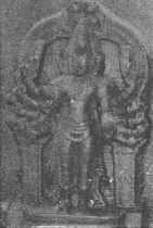 SEnAni