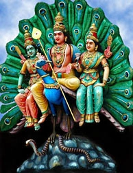 Valli Murugan Devayanai