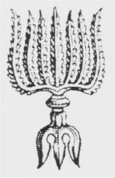 vajram